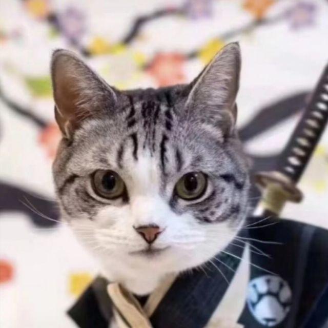 似水似火